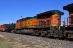 BNSF 5250 Roster shot